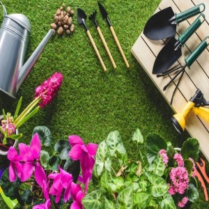 Various garden tools