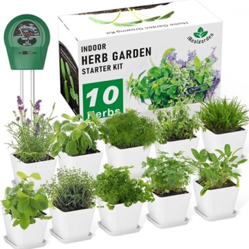 iRealGarden Indoor Herb Garden Starter Kit 