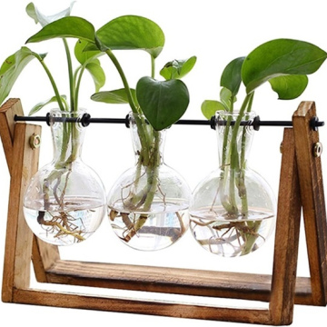 Plant Terrarium with Wooden Stand